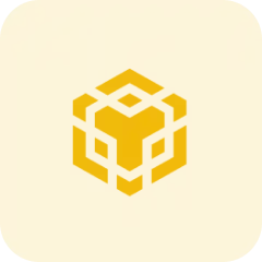 binance smart chain ico